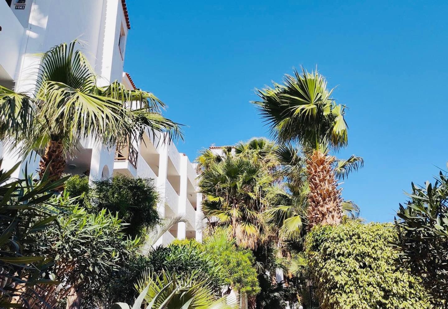 Apartamento Amarilla Golf San Miguel de Abona Exterior foto