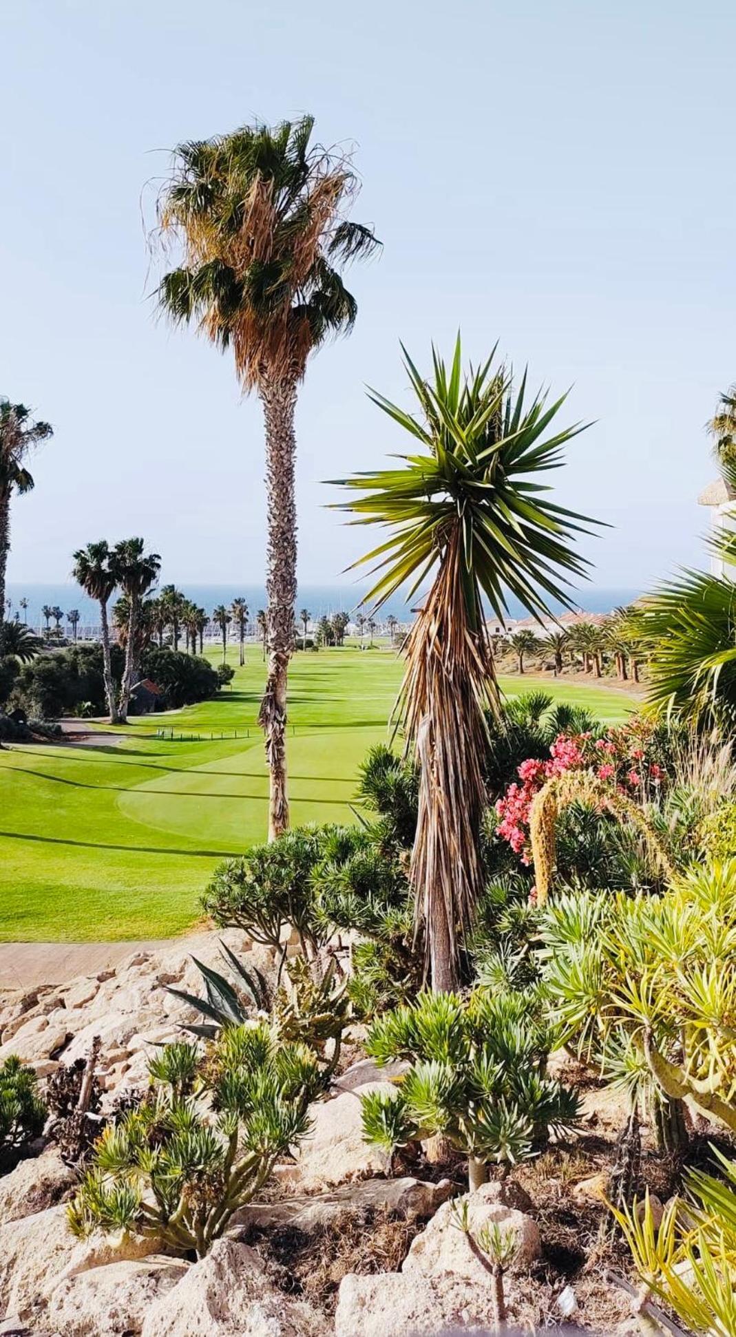 Apartamento Amarilla Golf San Miguel de Abona Exterior foto